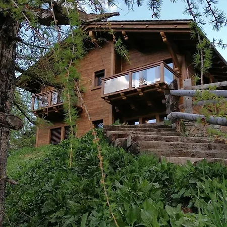 Blackberry ליביניו